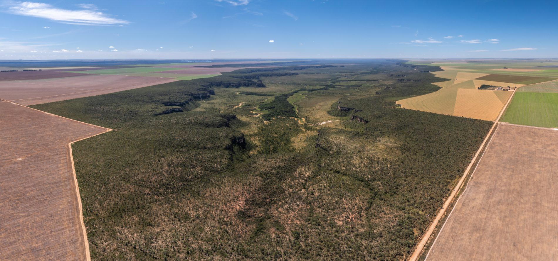 Foto aérea mostra um vale com vegetação verde exuberante rodeado por plantações de monocultura.
