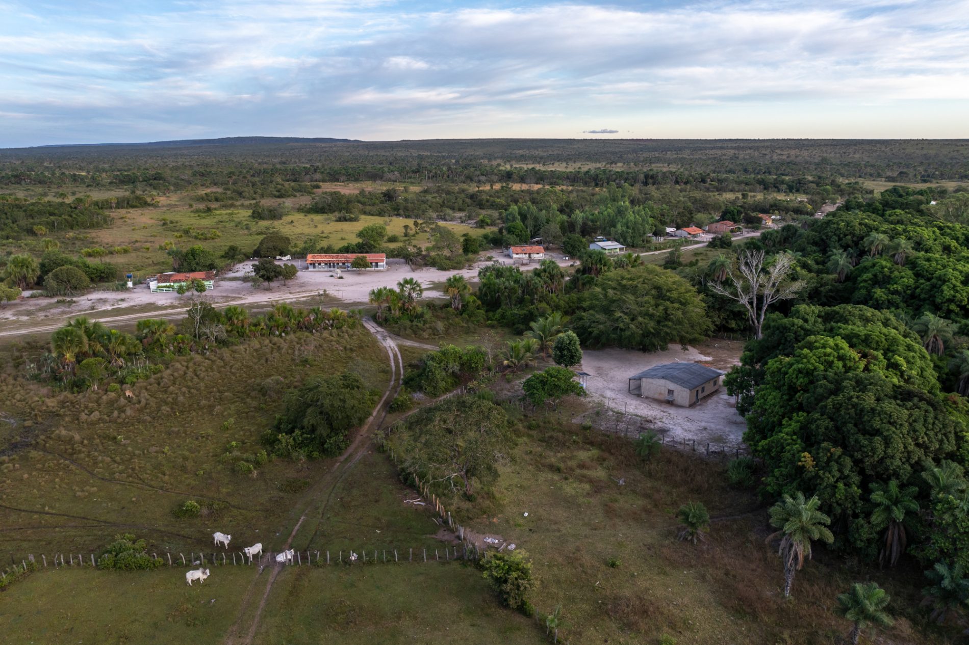 Foto aérea mostra uma pequena comunidade com casas simples de alvenaria em volta de vegetação aparentemente preservada de Cerrado.