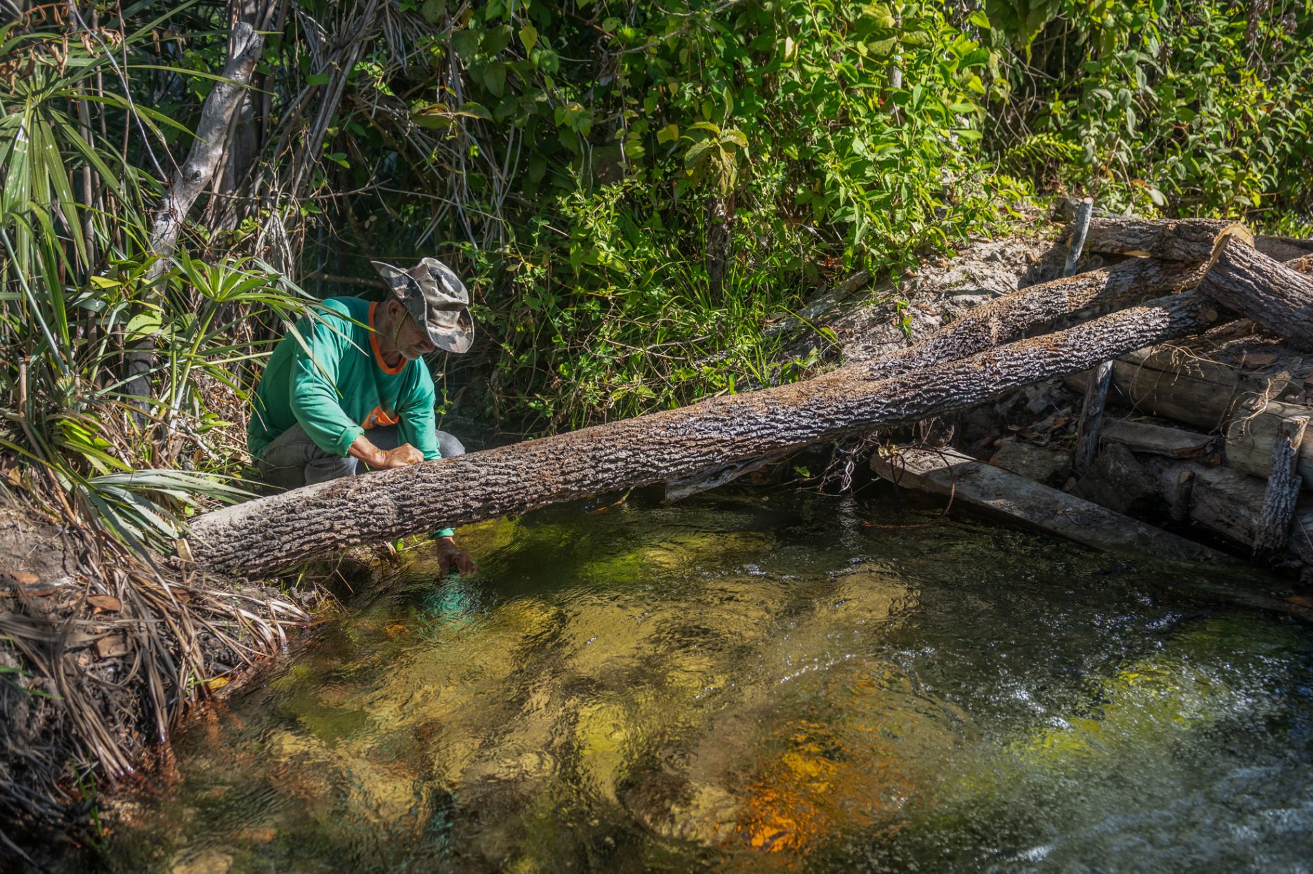 Homem ajoelhado na beira de um riacho em meio à vegetação, usando chapéu e camisa verde, tocando a água com a mão enquanto um tronco caído atravessa o curso do rio.
