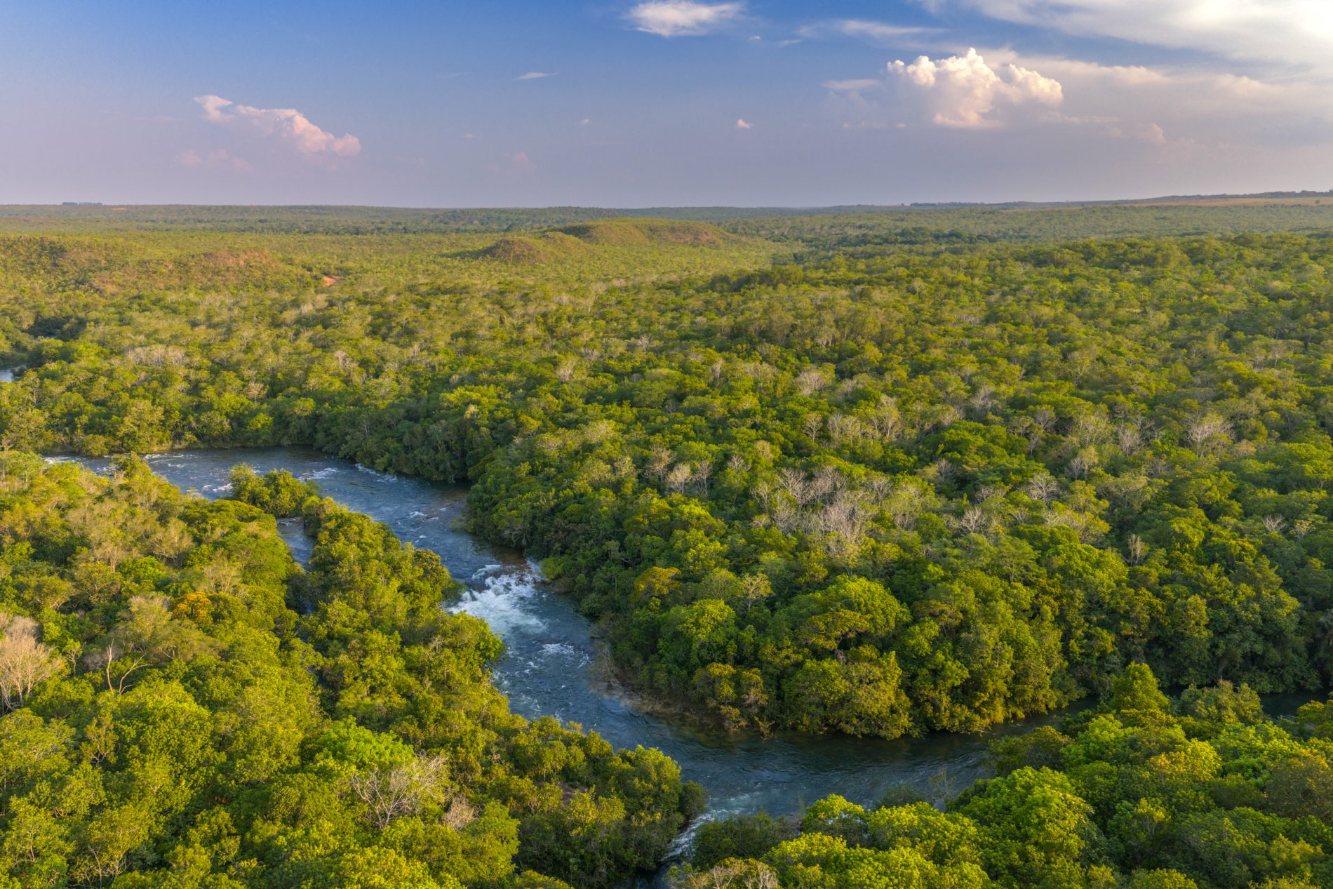 Imagem feita de drone do rio Buriti, cristalino, entre vegetação nativa do Cerrado.