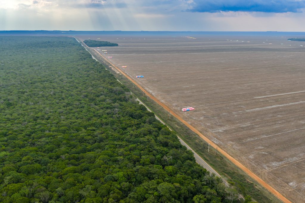 Vista de drone. Na metade da imagem aparece vegetação nativa do Cerrado e na outra metade uma extensa área desmatada.