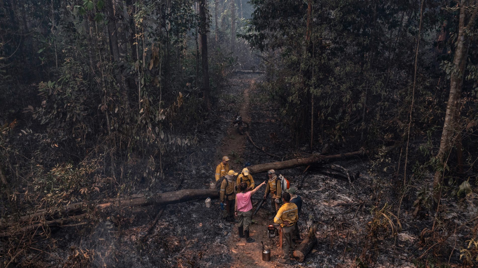 Grupo de brigadistas se reúne em uma área de floresta queimada, cercado por troncos caídos, vegetação carbonizada e fumaça; uma mulher ao centro aponta em direção à mata.